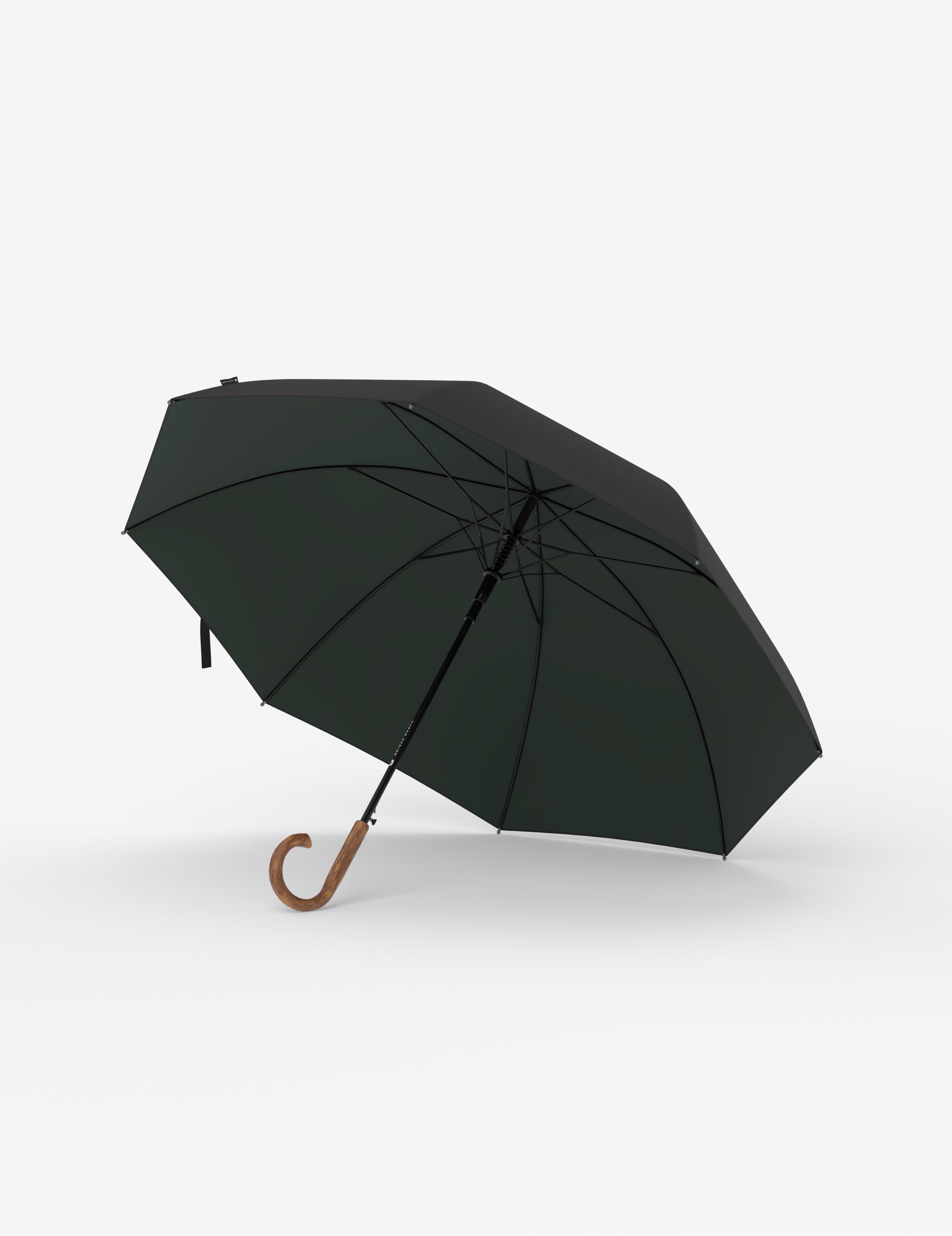 Stockschirm Distinct - Black/Green